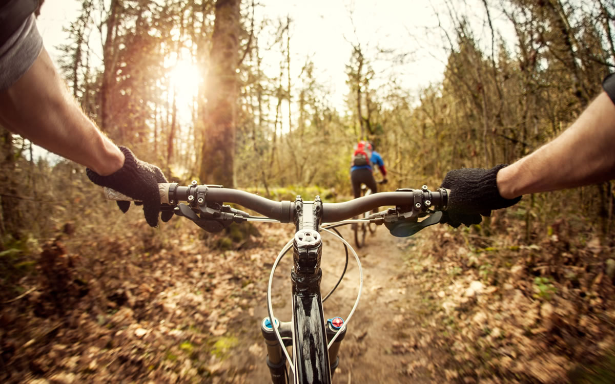 NO GUARDES TUS BICICLETAS: 7 Consejos Para El Ciclismo en Boston Massachusetts Durante El Otoño