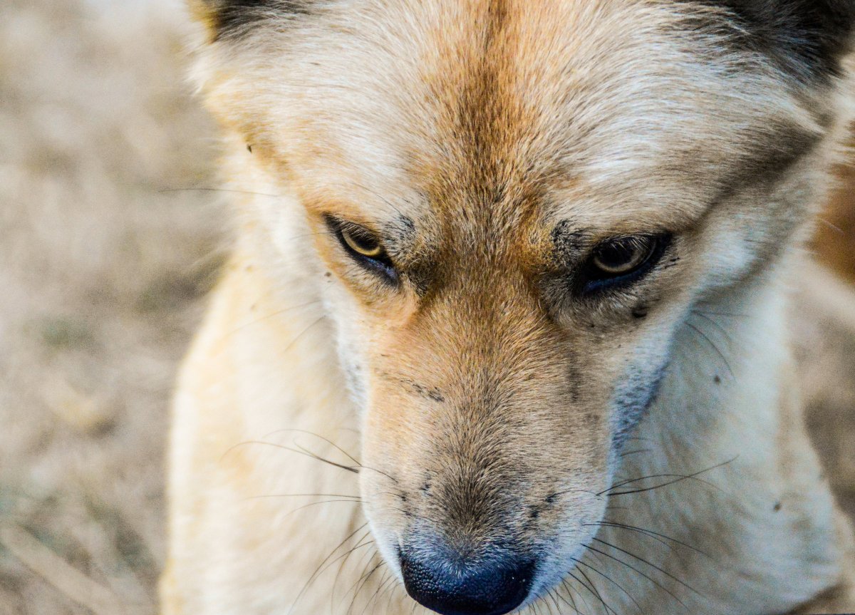 Lesiones comunes en accidentes de bici y sus consecuencias legales